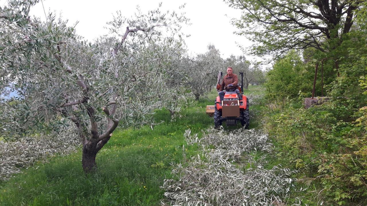 Apartma Istra Zora Sečovlje Εξωτερικό φωτογραφία