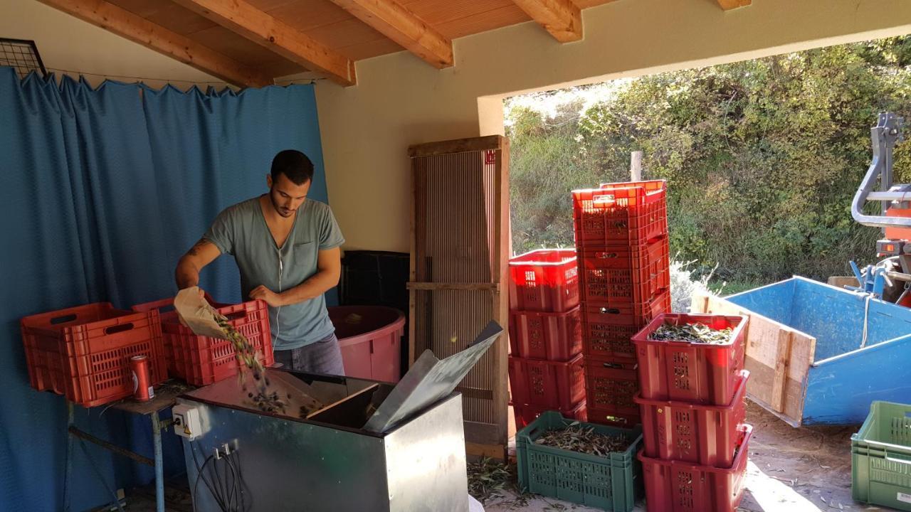 Apartma Istra Zora Sečovlje Εξωτερικό φωτογραφία