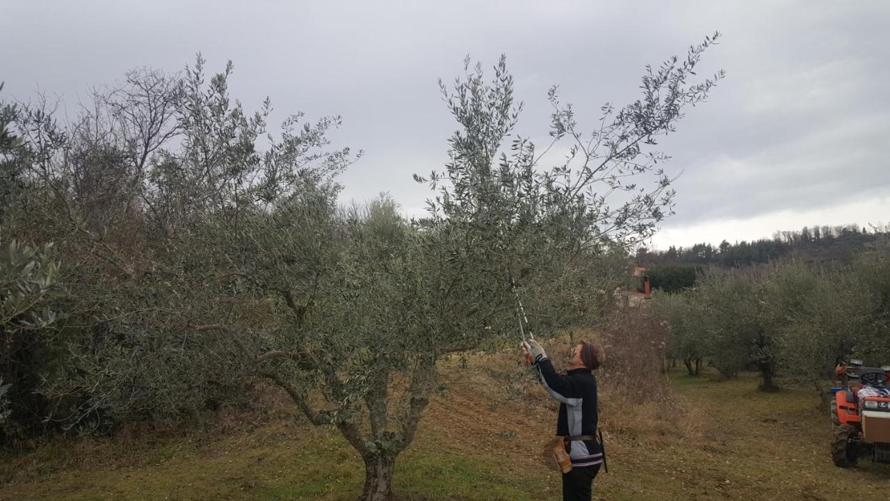 Apartma Istra Zora Sečovlje Εξωτερικό φωτογραφία